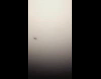 Girl with funny voice sees two big giant spiders on her ceiling