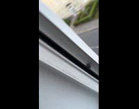 Car drive over bowl on street sound