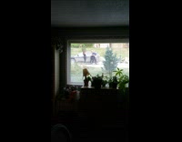 Three girls black car window dark room
