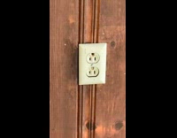 Bee come out from electric power outlet