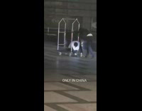 Guy pushes drunk friend luggage cart hotel