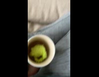 Collab Clips MPUGC - Cat puts toy in tea 