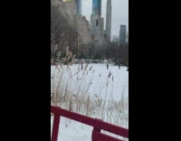 Cop tells people to get off ice