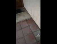 Guy takes target basket home no bags