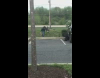Woman takes picture of geese attack falls over curb 