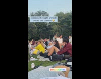 Woman brings tree to outdoor concert