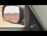 Car drives by sheep with horns eating  