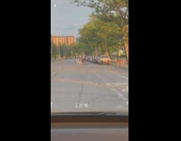 Guy in car sees bunch of deer crossing 