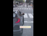 Guy waves air filled condom car window 