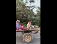 Family Travels and Uses Fast Donkey Cart