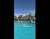 Guy slides down water slide flips over