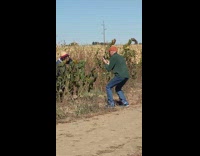Woman with hat poses in behind the sunflower at the field
