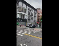 Crawfish found next to sidewalk still moving 