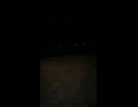 Guy shines light at cows at night 