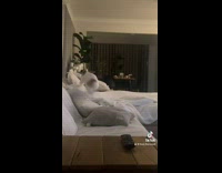 Collab BitchMP - Dog jumps and steps on woman 