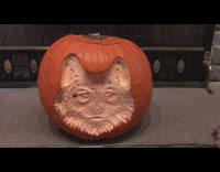 Orange pumpkin wolf carving jack o lantern 