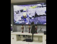 Grey kitten cat watches video games television