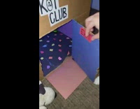 Cardboard box turned into cat club 
