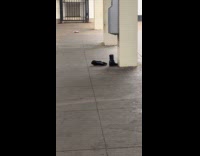 Black boots left behind on subway platform