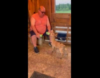 Baby goat drinks milk from the bottle Part 2