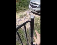 Fly slowly caught and held with fingers