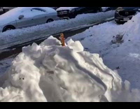 A guitar buried in a mound of snow 
