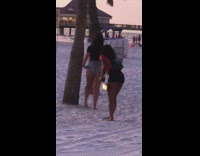 Woman photo shoot palm tree fix shorts and butt