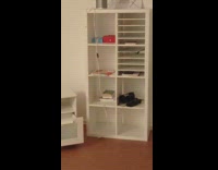 Little mouse climbs up the cable cord