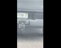 Submitter shows license plate different expiration dates