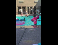 Little boy takes photo of parents pool