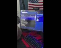 Grey cat looks back at mouse cursor 