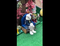 Easter Bunny sits at mall for photos