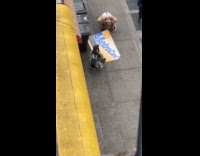 Rat man pose with large MTA MetroCard