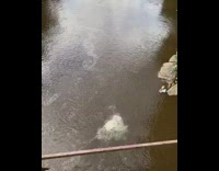 Guy jumps over bridge white jeep trampoline 