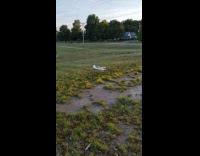 Guy flies toy white airplane plane fail 