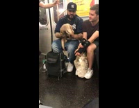 man pulls out giant lizard from back pack