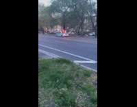 Collab WINY - Dog Barks at Men in Car on Clown Costume