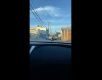 Man sunglasses peak car window photo shoot