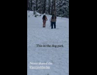 Woman in bikini poses at snowy park