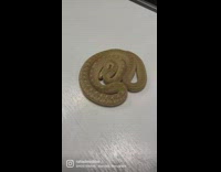 Snake moves in circle and bites