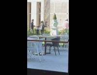 Guy dreadlocks pink shirt music video sunny