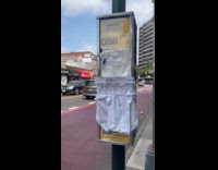 White briefs pinned on street pole