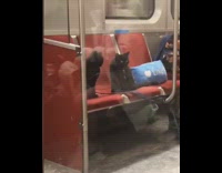 Woman brings her two black cats on leashes onto subway train and feed them