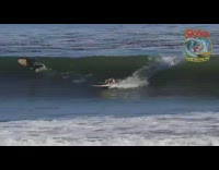 Brown dog wearing life vest rides surfboard  