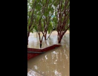 Park flooded with muddy water from river
