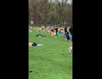 Two guys juggle white pins at park 