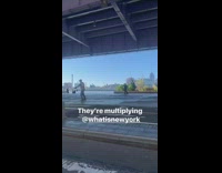 Brown jacket older guy sword red pt. 2 