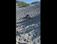 Woman runs down sand hill and scorpions