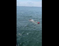 Collab WINY - Guy swim in river drag red buoy 