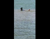 Guy swims in face mask